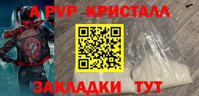 крисы Пенза